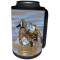 3dRose Danita Delimont - Ducks - Blue winged Teal male bathing in wetland, Marion County, Illinois - Can Cooler Bottle Wrap (cc_278981)
