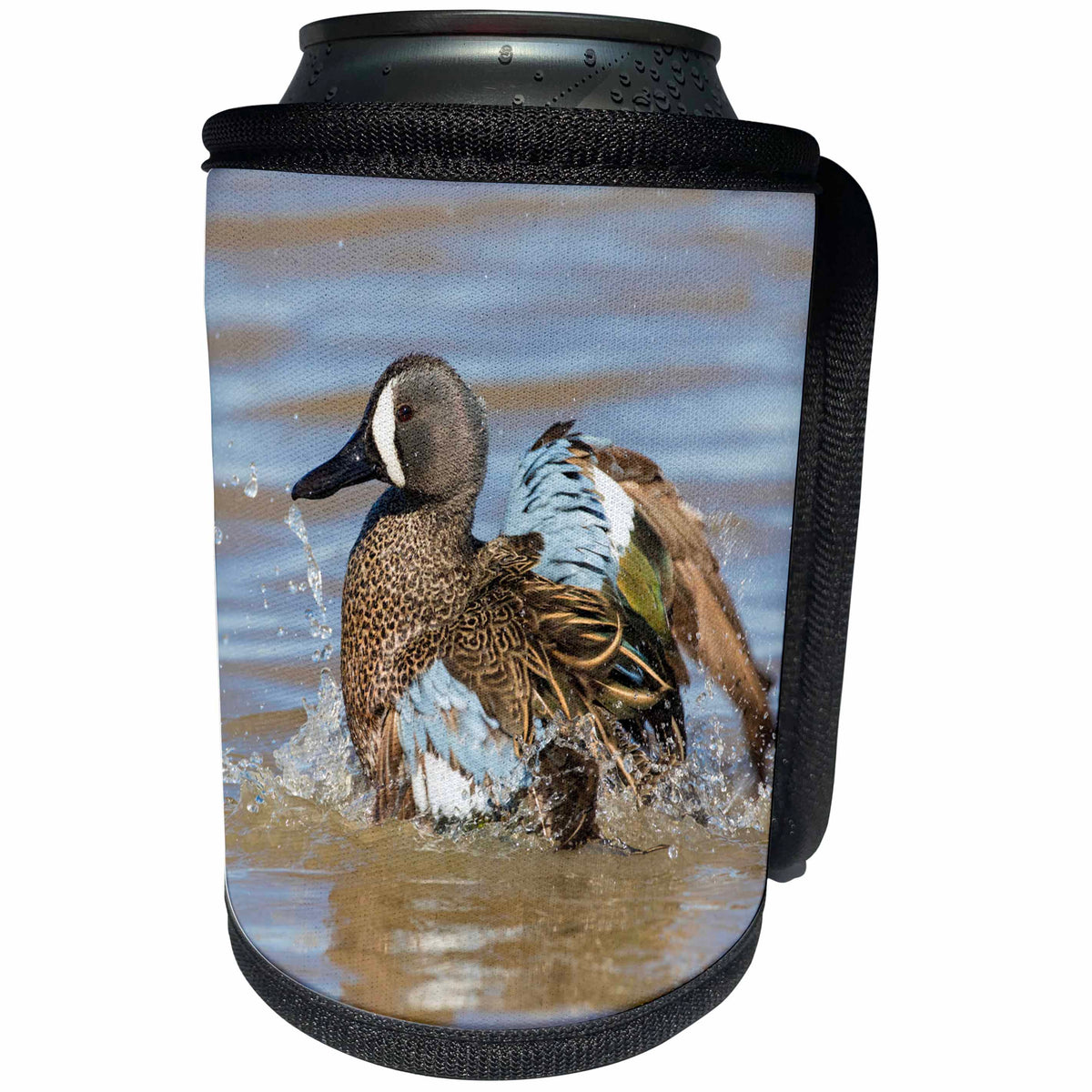 3dRose Danita Delimont - Ducks - Blue winged Teal male bathing in wetland, Marion County, Illinois - Can Cooler Bottle Wrap (cc_278981)
