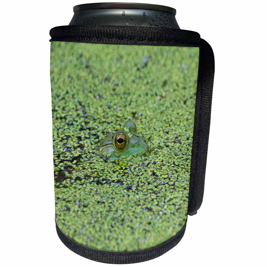 3dRose Danita Delimont - Frogs - American Bullfrog camouflaged by duckweed, Marion County, Illinois - Can Cooler Bottle Wrap (cc_278986)