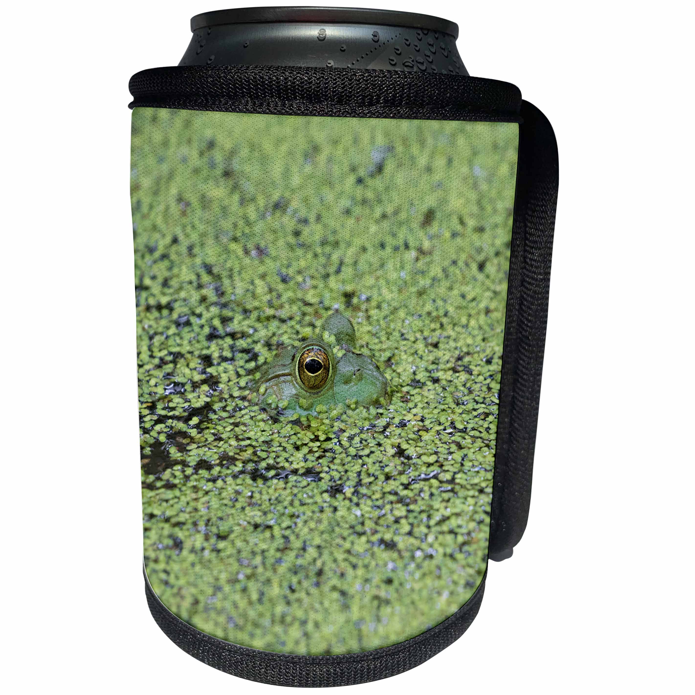 3dRose Danita Delimont - Frogs - American Bullfrog camouflaged by duckweed, Marion County, Illinois - Can Cooler Bottle Wrap (cc_278986)
