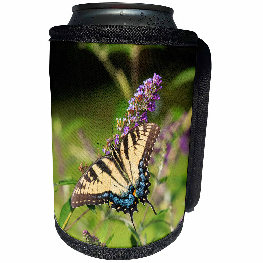 3dRose Danita Delimont - Butterflies - Eastern Tiger Swallowtail on Butterfly Bush, Marion County, Illinois - Can Cooler Bottle Wrap (cc_278990)
