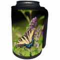 3dRose Danita Delimont - Butterflies - Eastern Tiger Swallowtail on Butterfly Bush, Marion County, Illinois - Can Cooler Bottle Wrap (cc_278990)