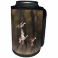 3dRose Danita Delimont - Ducks - Blue winged Teal, Anas Discors, in flight, Marion County, Illinois - Can Cooler Bottle Wrap (cc_278998)