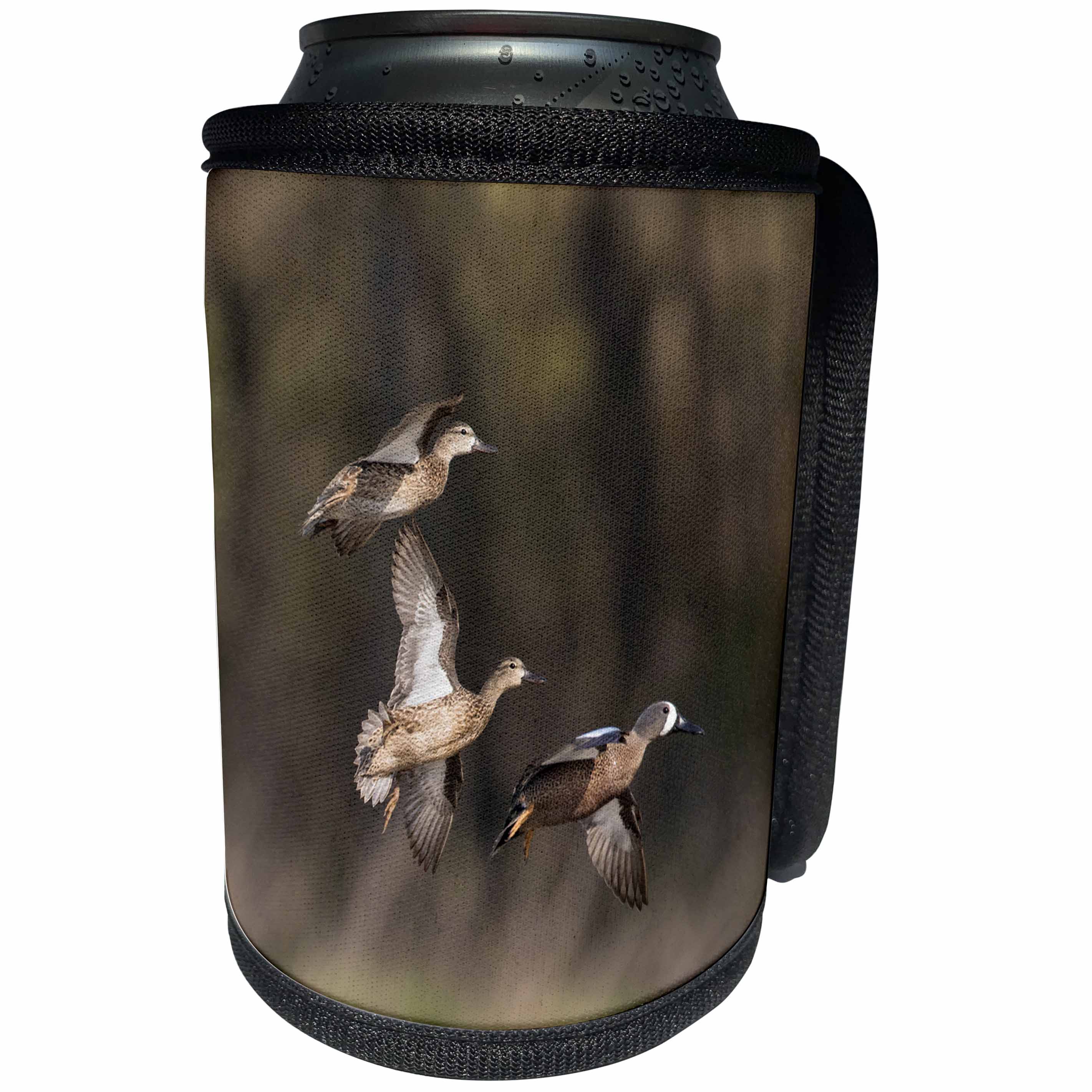3dRose Danita Delimont - Ducks - Blue winged Teal, Anas Discors, in flight, Marion County, Illinois - Can Cooler Bottle Wrap (cc_278998)
