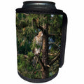 3dRose Danita Delimont - Birds of prey - Red shouldered Hawk, Buteo Lineatus, immature, Marion County, Illinois - Can Cooler Bottle Wrap (cc_278999)