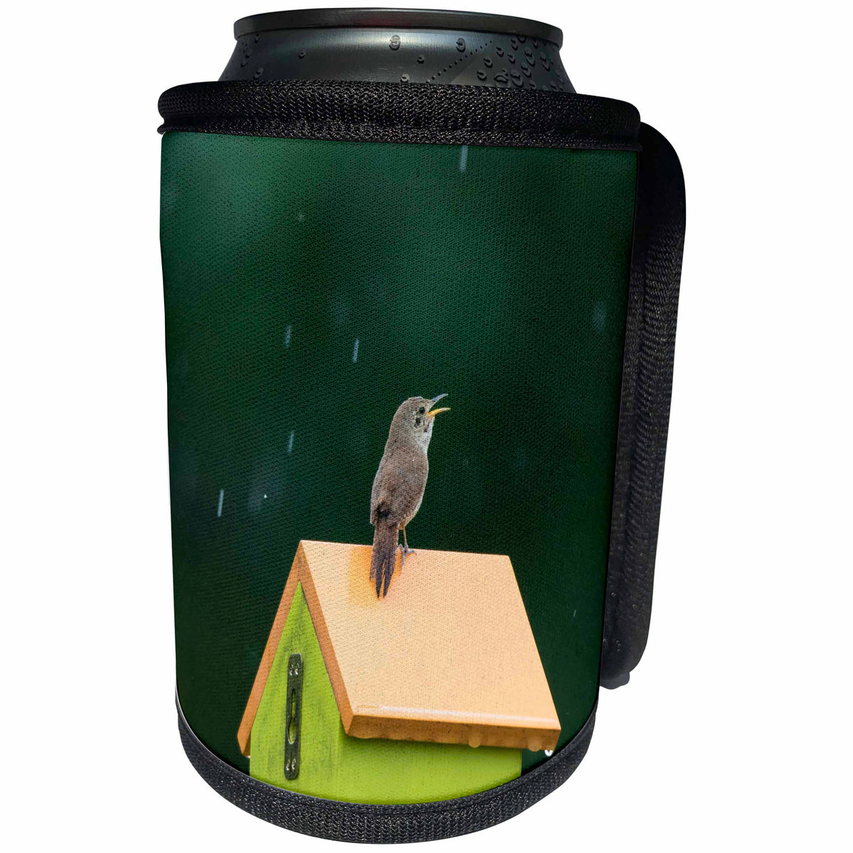 3dRose Danita Delimont - Songbirds - House Wren male singing in the rain on nest box. Marion Co., Illinois - Can Cooler Bottle Wrap (cc_279007)