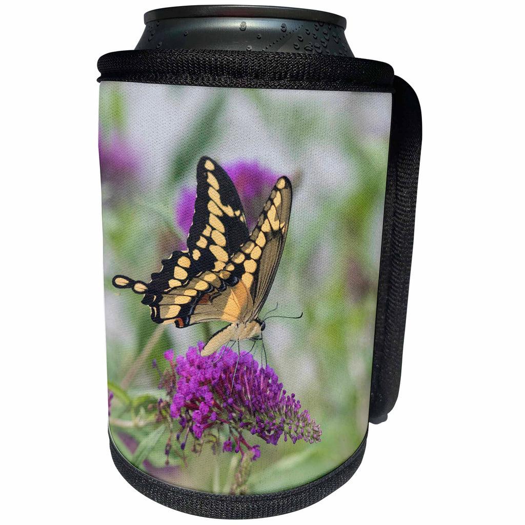 3dRose Danita Delimont - Butterflies - Giant Swallowtail nectaring on flowers, Marion County, Illinois - Can Cooler Bottle Wrap (cc_279010)
