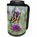 3dRose Danita Delimont - Butterflies - Giant Swallowtail nectaring on flowers, Marion County, Illinois - Can Cooler Bottle Wrap (cc_279010)