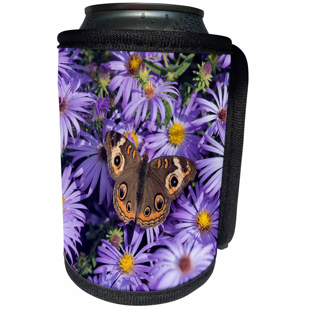 3dRose Danita Delimont - Hummingbirds - Common Buckeye on Frikarts Aster, Marion County, Illinois - Can Cooler Bottle Wrap (cc_279013)
