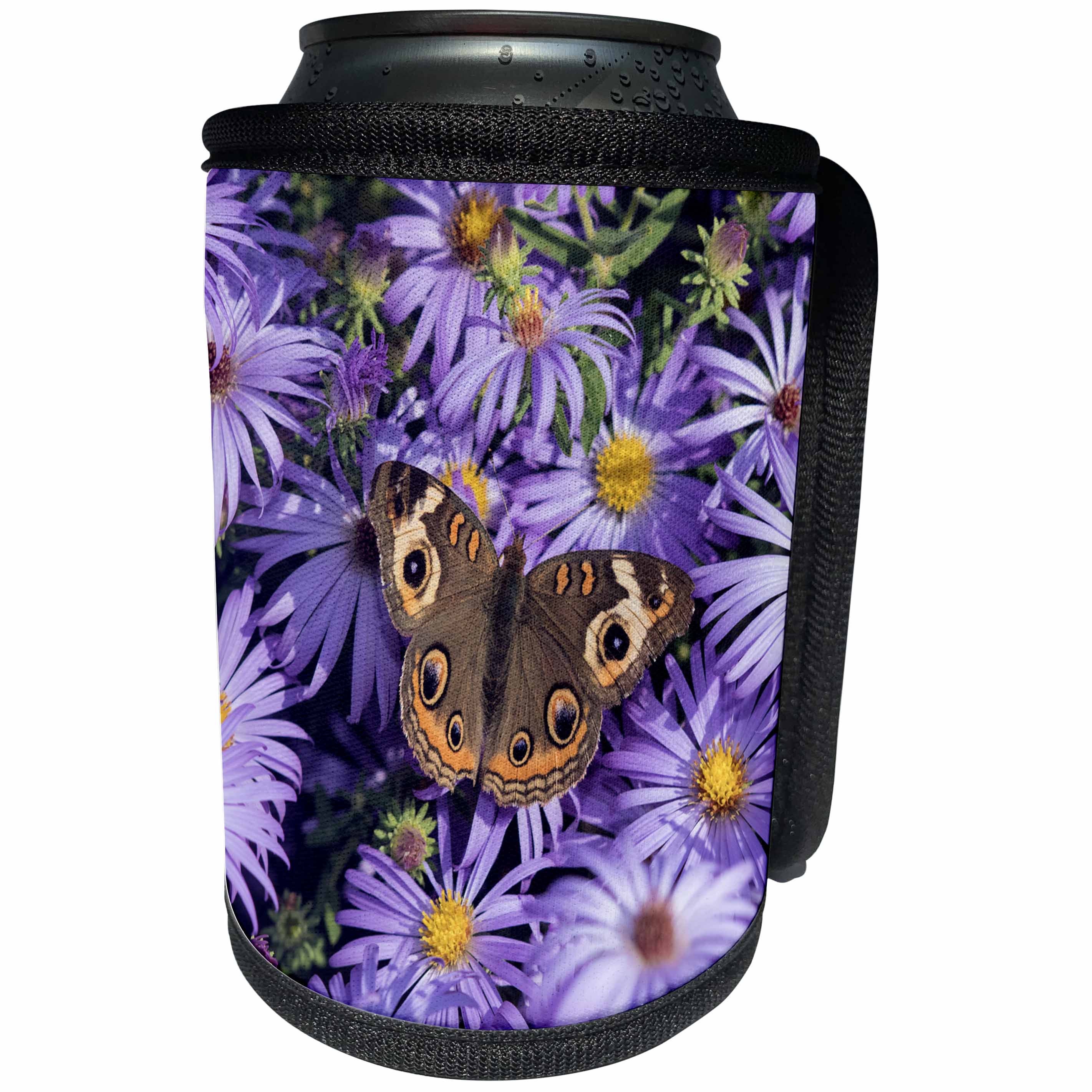3dRose Danita Delimont - Hummingbirds - Common Buckeye on Frikarts Aster, Marion County, Illinois - Can Cooler Bottle Wrap (cc_279013)