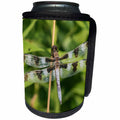 3dRose Danita Delimont - Insects - Twelve spotted Skimmer male in wetland Marion County, Illinois - Can Cooler Bottle Wrap (cc_279016)