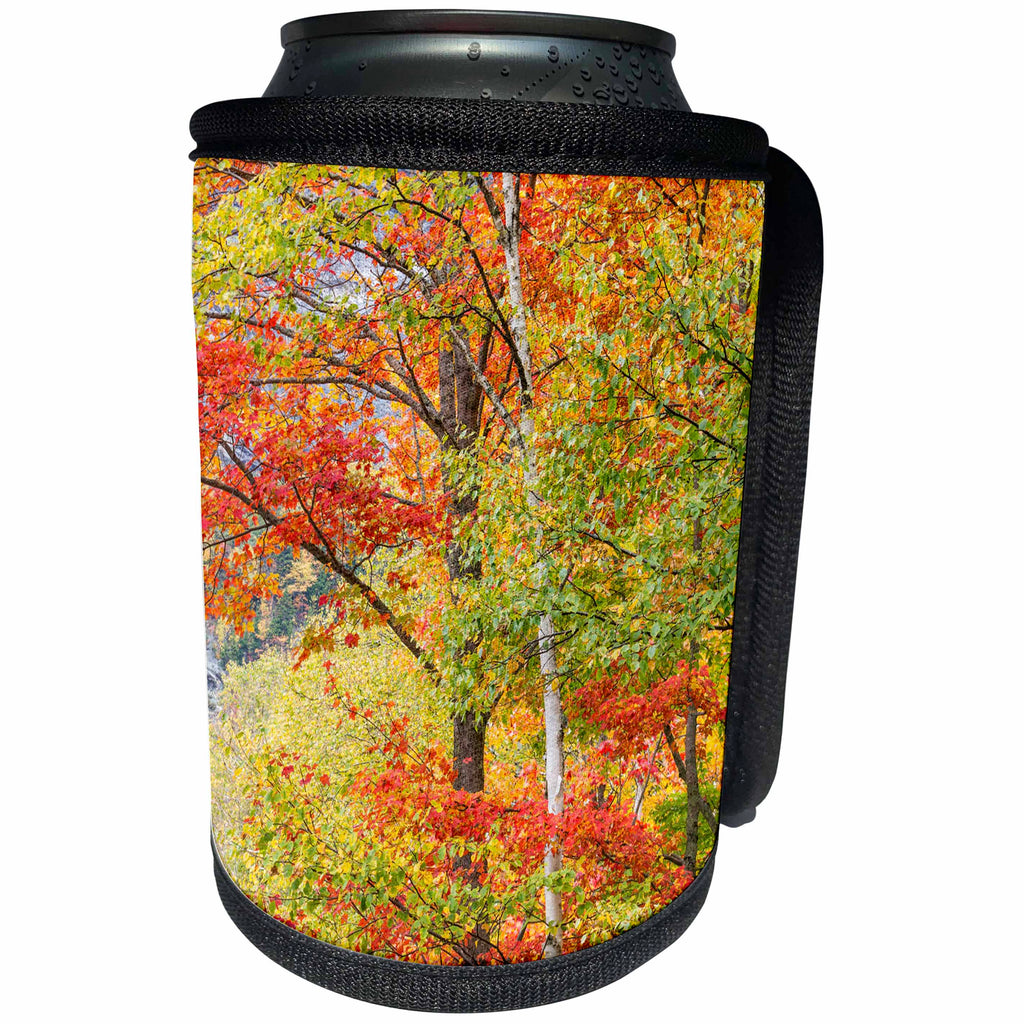 3dRose Danita Delimont - Forests - The colors of fall in Grafton Notch State Park, Maine. - Can Cooler Bottle Wrap (cc_279025)