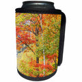 3dRose Danita Delimont - Forests - The colors of fall in Grafton Notch State Park, Maine. - Can Cooler Bottle Wrap (cc_279025)