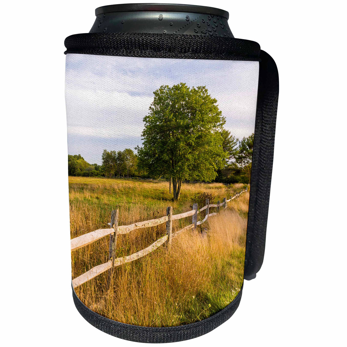 3dRose Danita Delimont - Agriculture - A fence lines a field in Ipswich, Massachusetts. - Can Cooler Bottle Wrap (cc_279036)