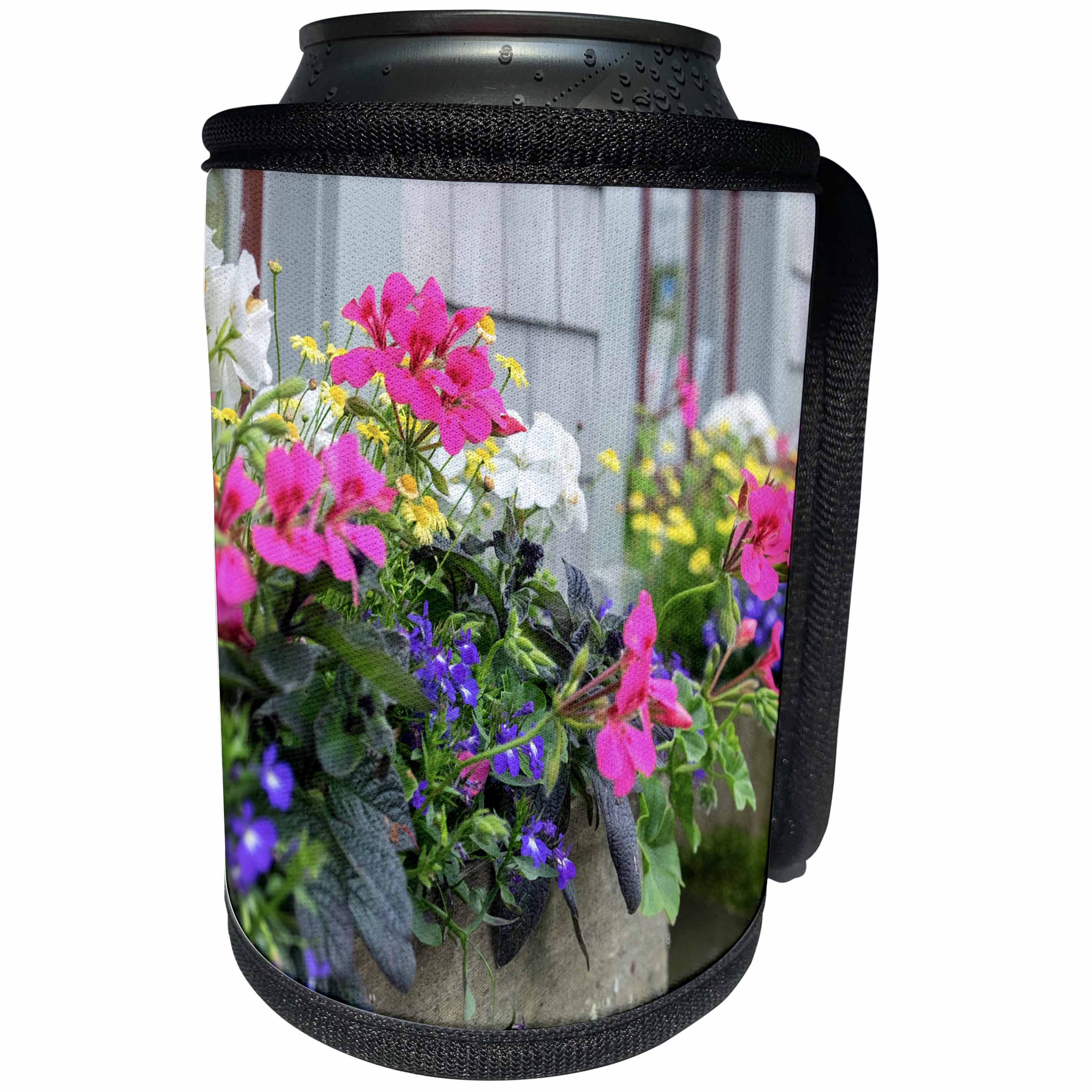 3dRose Danita Delimont - Flowers - Flowers in window boxes, Nantucket, Massachusetts, USA - Can Cooler Bottle Wrap (cc_279042)