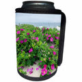 3dRose Danita Delimont - Beachse - Beach roses, Madaket, Nantucket, Massachusetts, USA - Can Cooler Bottle Wrap (cc_279050)
