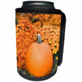 3dRose Danita Delimont - Autumn - Pumpkin And Mums, Fall Foliage, Reading, Massachusetts, Usa - Can Cooler Bottle Wrap (cc_279052)