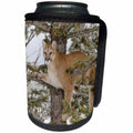 3dRose Danita Delimont - Big Cats - Mountain lion in tree, Montana - Can Cooler Bottle Wrap (cc_279060)