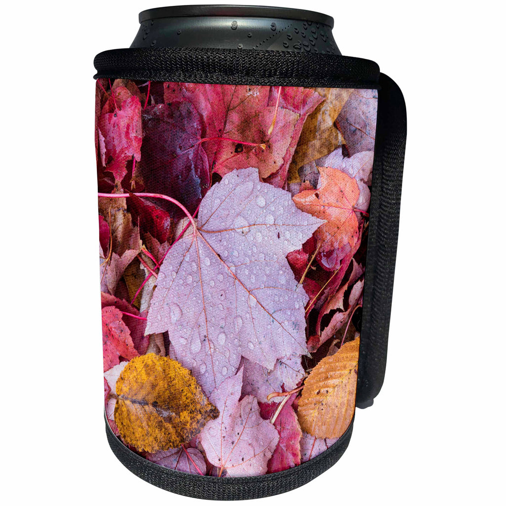 3dRose Danita Delimont - Autumn - Michigan, Keweenaw Peninsula. A pattern of wet autumn leaves. - Can Cooler Bottle Wrap (cc_279082)