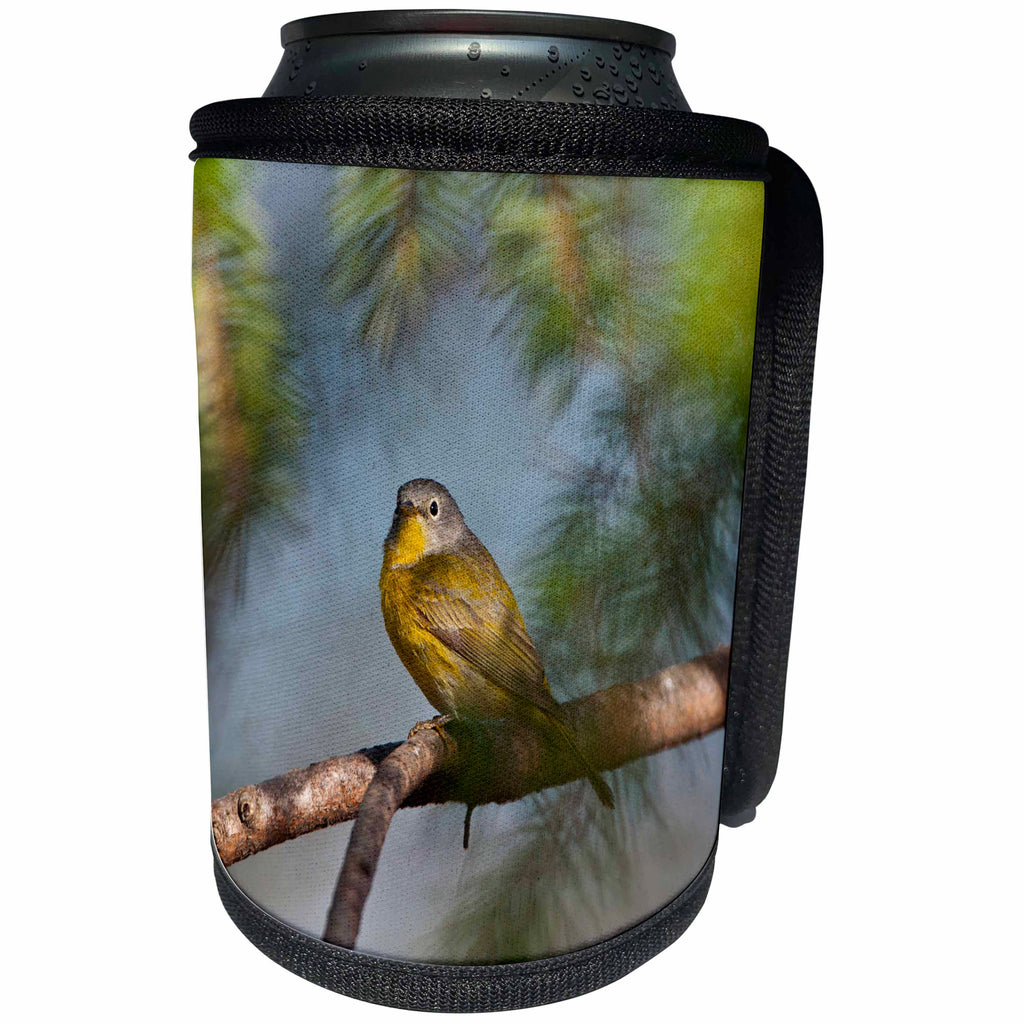 3dRose Danita Delimont - Songbirds - USA, Minnesota, Mendota Heights, Mohican Lane, Nashville Warbler - Can Cooler Bottle Wrap (cc_279121)