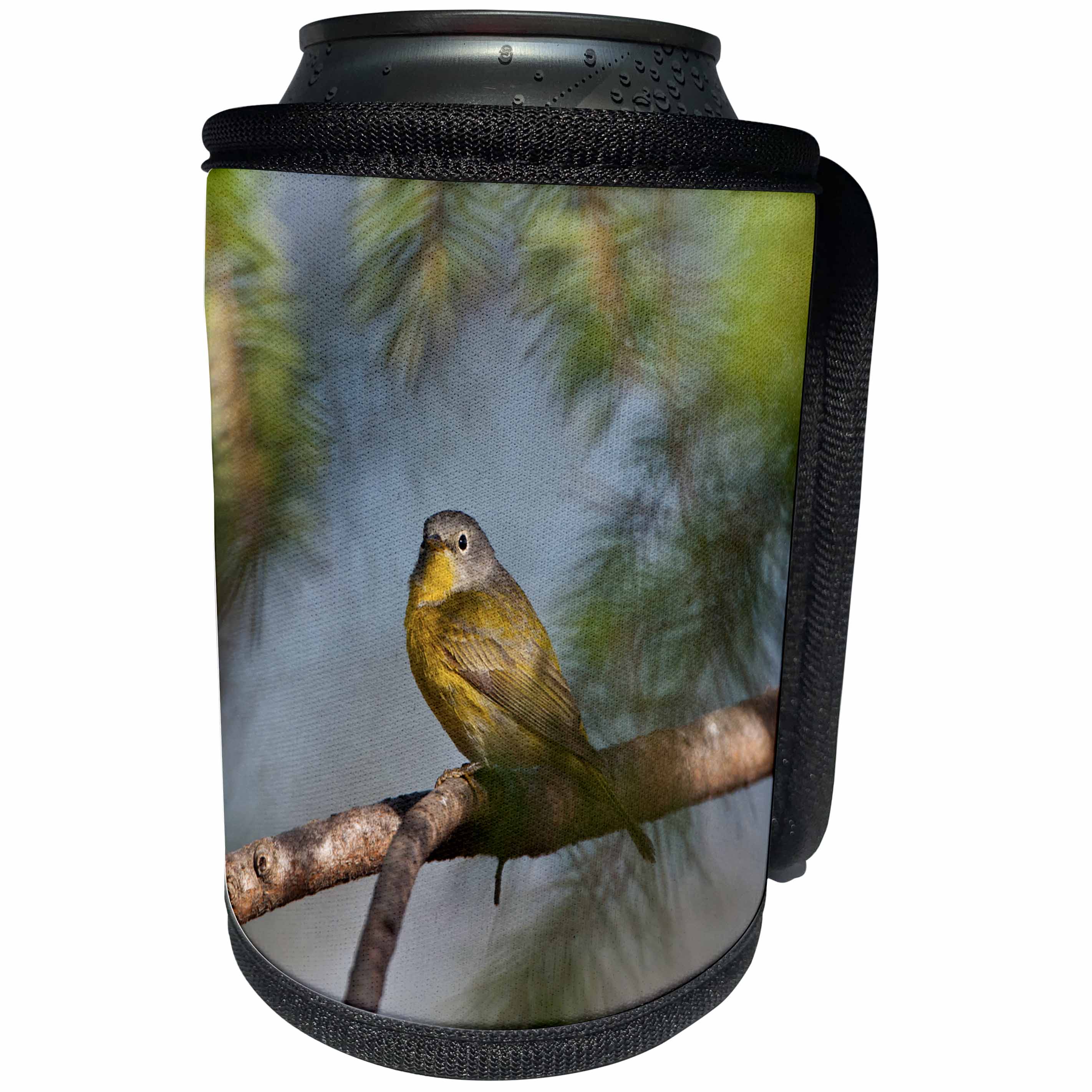3dRose Danita Delimont - Songbirds - USA, Minnesota, Mendota Heights, Mohican Lane, Nashville Warbler - Can Cooler Bottle Wrap (cc_279121)