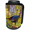 3dRose Danita Delimont - Game Birds - USA, Minnesota, Mendota Heights, Wild Turkey - Can Cooler Bottle Wrap (cc_279125)