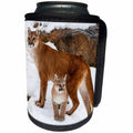 3dRose Danita Delimont - Baby animals - USA, Minnesota, Sandstone, Cougars, Mother and Young - Can Cooler Bottle Wrap (cc_279126)