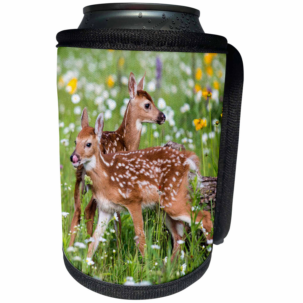 3dRose Danita Delimont - Baby animals - USA, Minnesota, Sandstone, Two Fawns Amidst Wildflowers - Can Cooler Bottle Wrap (cc_279127)