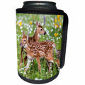 3dRose Danita Delimont - Baby animals - USA, Minnesota, Sandstone, Two Fawns Amidst Wildflowers - Can Cooler Bottle Wrap (cc_279127)