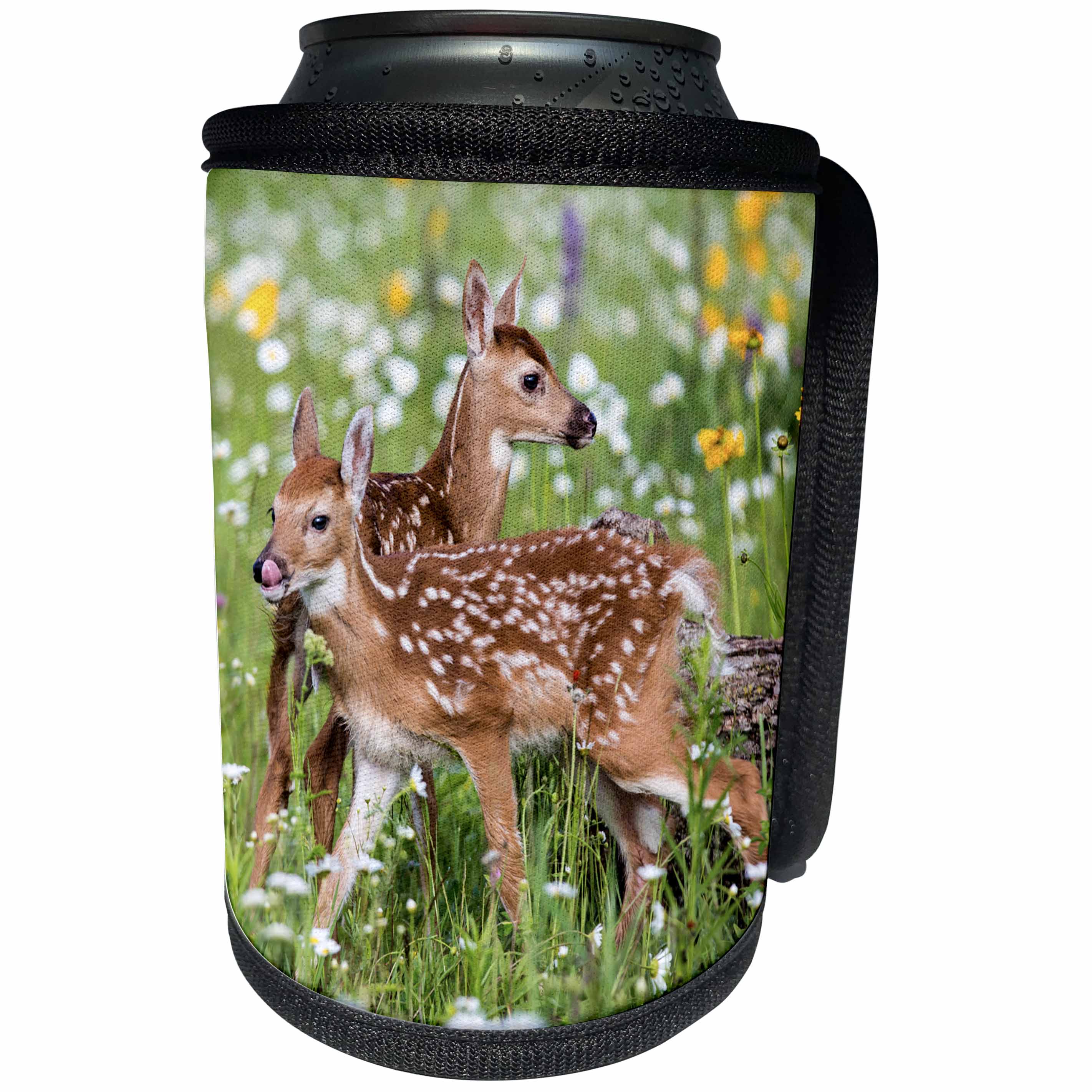 3dRose Danita Delimont - Baby animals - USA, Minnesota, Sandstone, Two Fawns Amidst Wildflowers - Can Cooler Bottle Wrap (cc_279127)