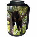 3dRose Danita Delimont - Baby animals - USA, Minnesota, Sandstone, Black Bear Cub Stuck in a Tree - Can Cooler Bottle Wrap (cc_279128)