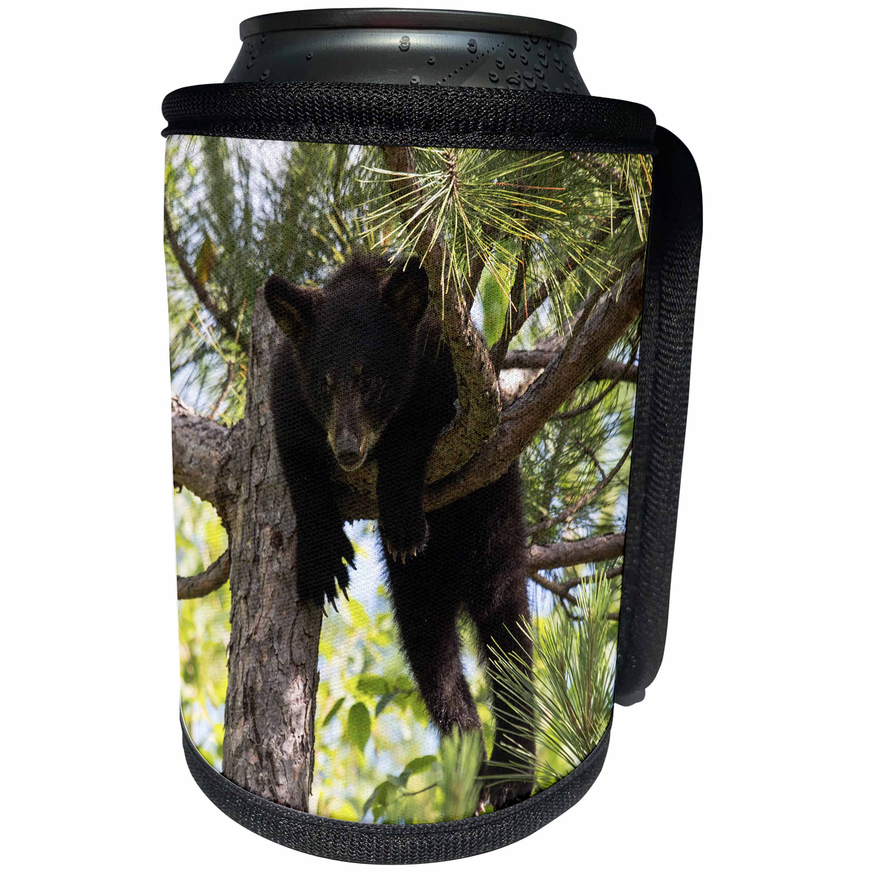 3dRose Danita Delimont - Baby animals - USA, Minnesota, Sandstone, Black Bear Cub Stuck in a Tree - Can Cooler Bottle Wrap (cc_279128)