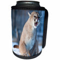 3dRose Danita Delimont - Big Cats - Usa, Minnesota, Sandstone, Cougar Growling - Can Cooler Bottle Wrap (cc_279130)