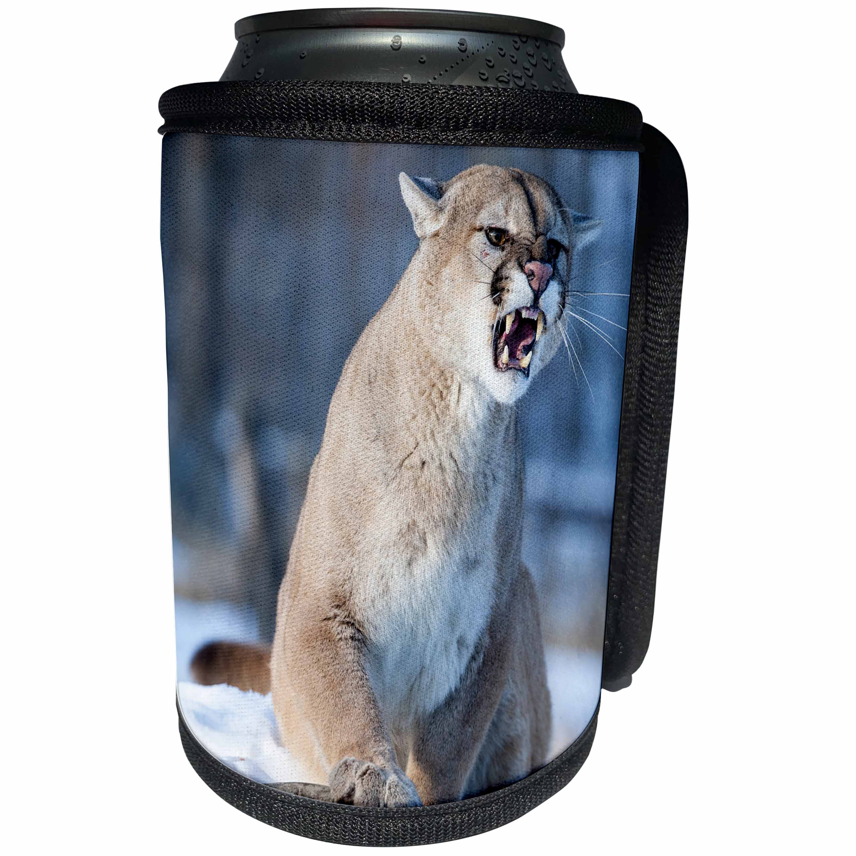 3dRose Danita Delimont - Big Cats - Usa, Minnesota, Sandstone, Cougar Growling - Can Cooler Bottle Wrap (cc_279130)