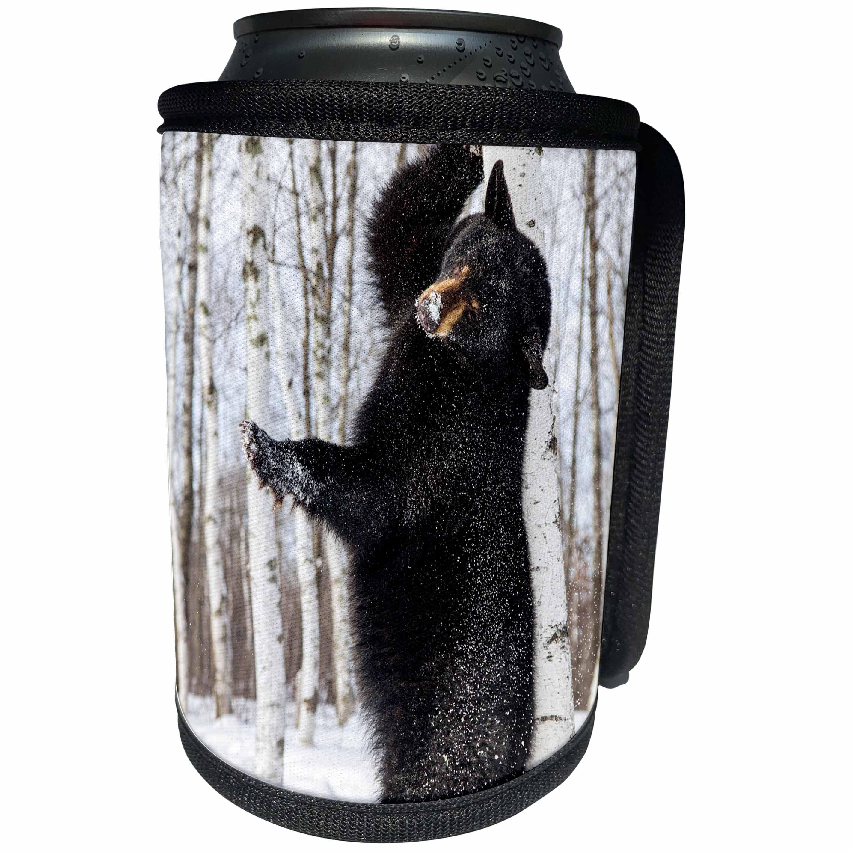 3dRose Danita Delimont - Bears - USA, Minnesota, Sandstone, Black Bear Scratching an Itch - Can Cooler Bottle Wrap (cc_279136)