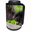 3dRose Danita Delimont - Animals - USA, Minnesota, Sandstone, Porcupine Mother and Baby - Can Cooler Bottle Wrap (cc_279138)