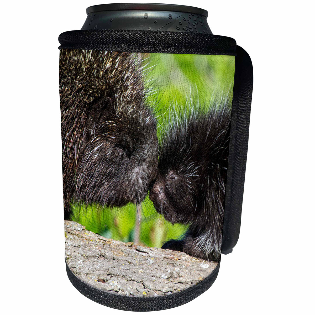 3dRose Danita Delimont - Animals - USA, Minnesota, Sandstone, Porcupine Mother and Baby - Can Cooler Bottle Wrap (cc_279138)