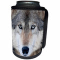 3dRose Danita Delimont - Wolves - USA, Minnesota, Sandstone, Eyes of the Wolf - Can Cooler Bottle Wrap (cc_279139)