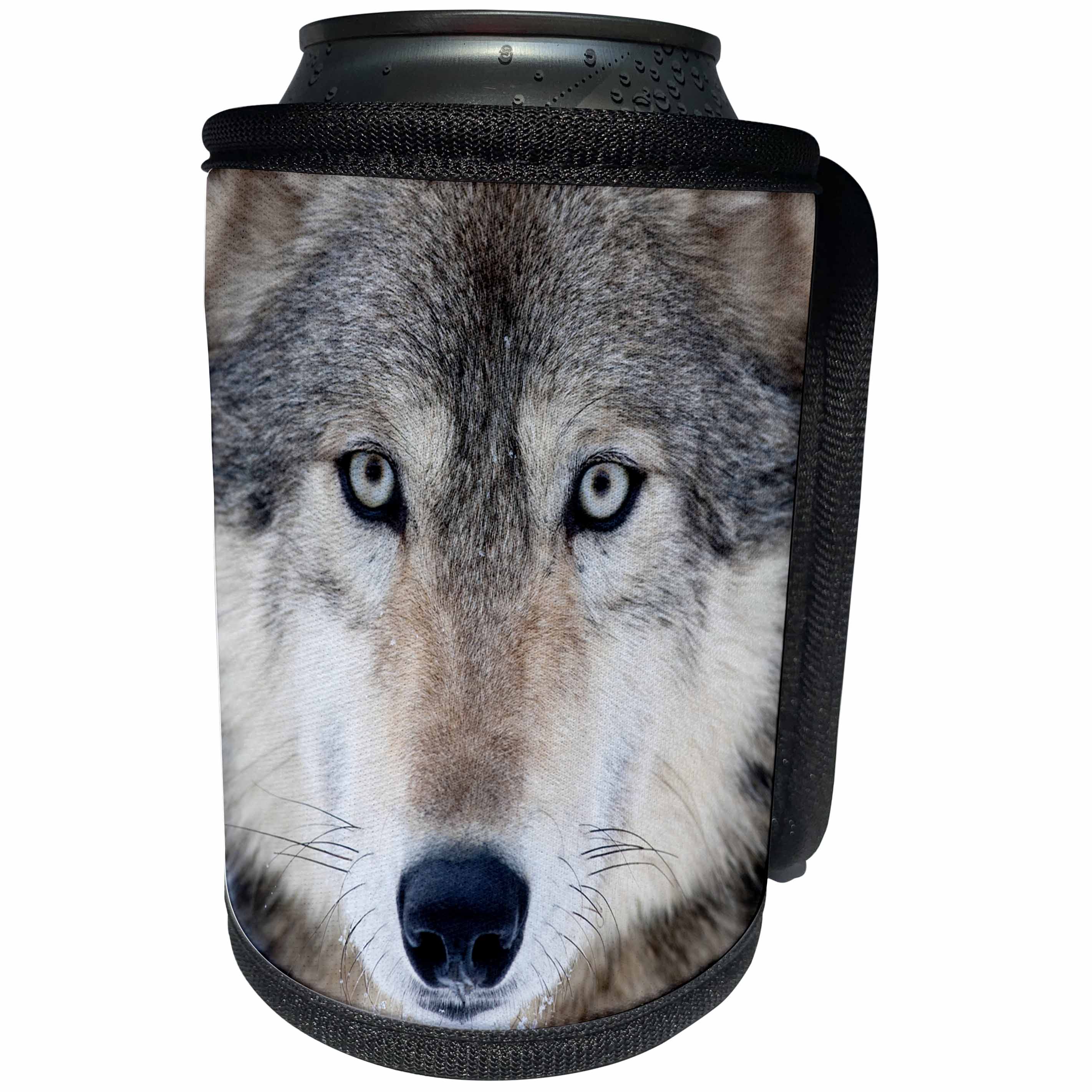 3dRose Danita Delimont - Wolves - USA, Minnesota, Sandstone, Eyes of the Wolf - Can Cooler Bottle Wrap (cc_279139)