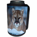 3dRose Danita Delimont - Big Cats - USA, Minnesota, Sandstone. Cougar in the snow - Can Cooler Bottle Wrap (cc_279140)