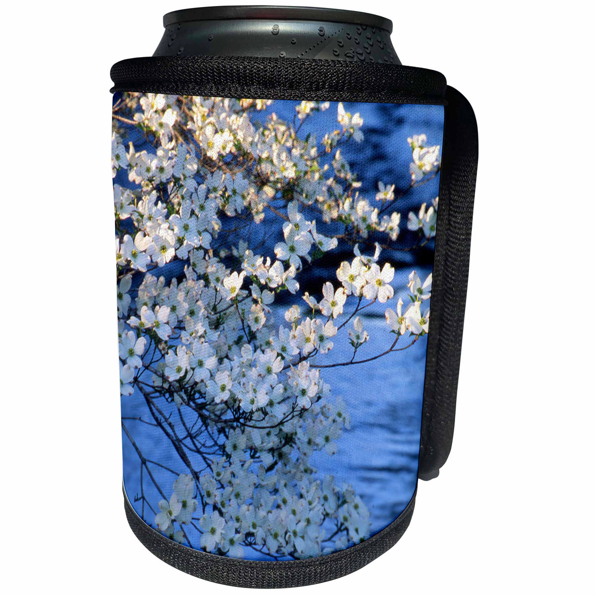 3dRose Danita Delimont - Flowers - Blooming Dogwood trees in early morning light with water in background - Can Cooler Bottle Wrap (cc_279153)