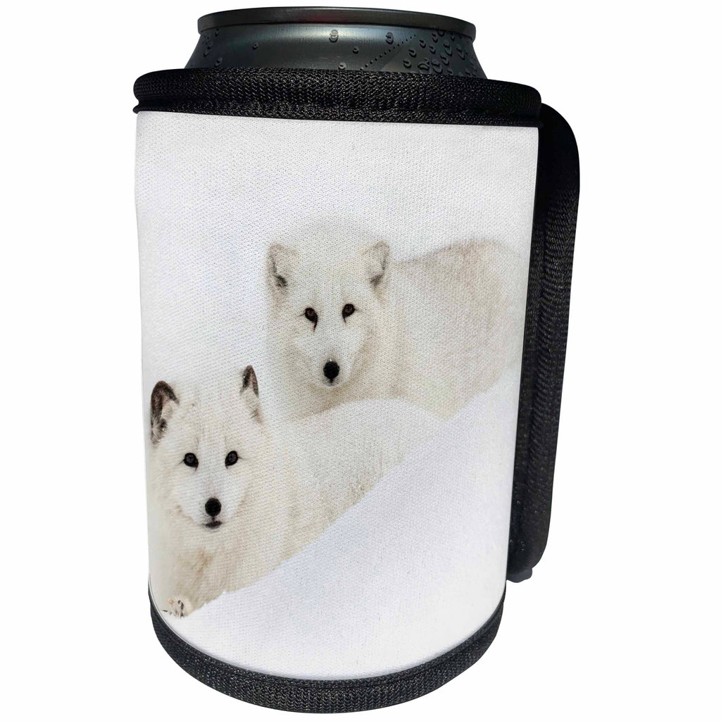 3dRose Danita Delimont - Foxes - Two Arctic Foxes blending into snow, Montana - Can Cooler Bottle Wrap (cc_279157)
