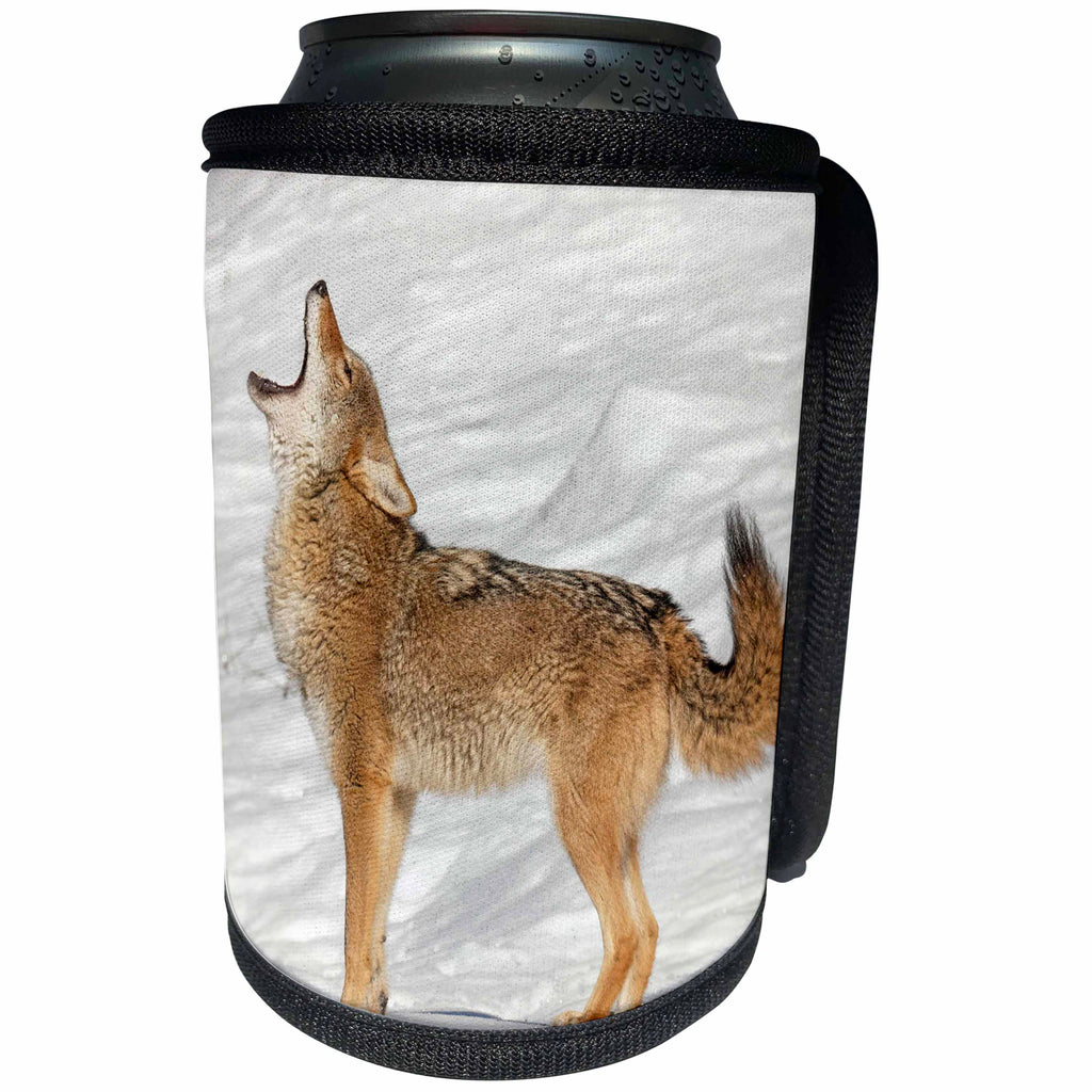3dRose Danita Delimont - Coyotes - Coyote howling in winter, Montana - Can Cooler Bottle Wrap (cc_279162)