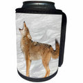 3dRose Danita Delimont - Coyotes - Coyote howling in winter, Montana - Can Cooler Bottle Wrap (cc_279162)