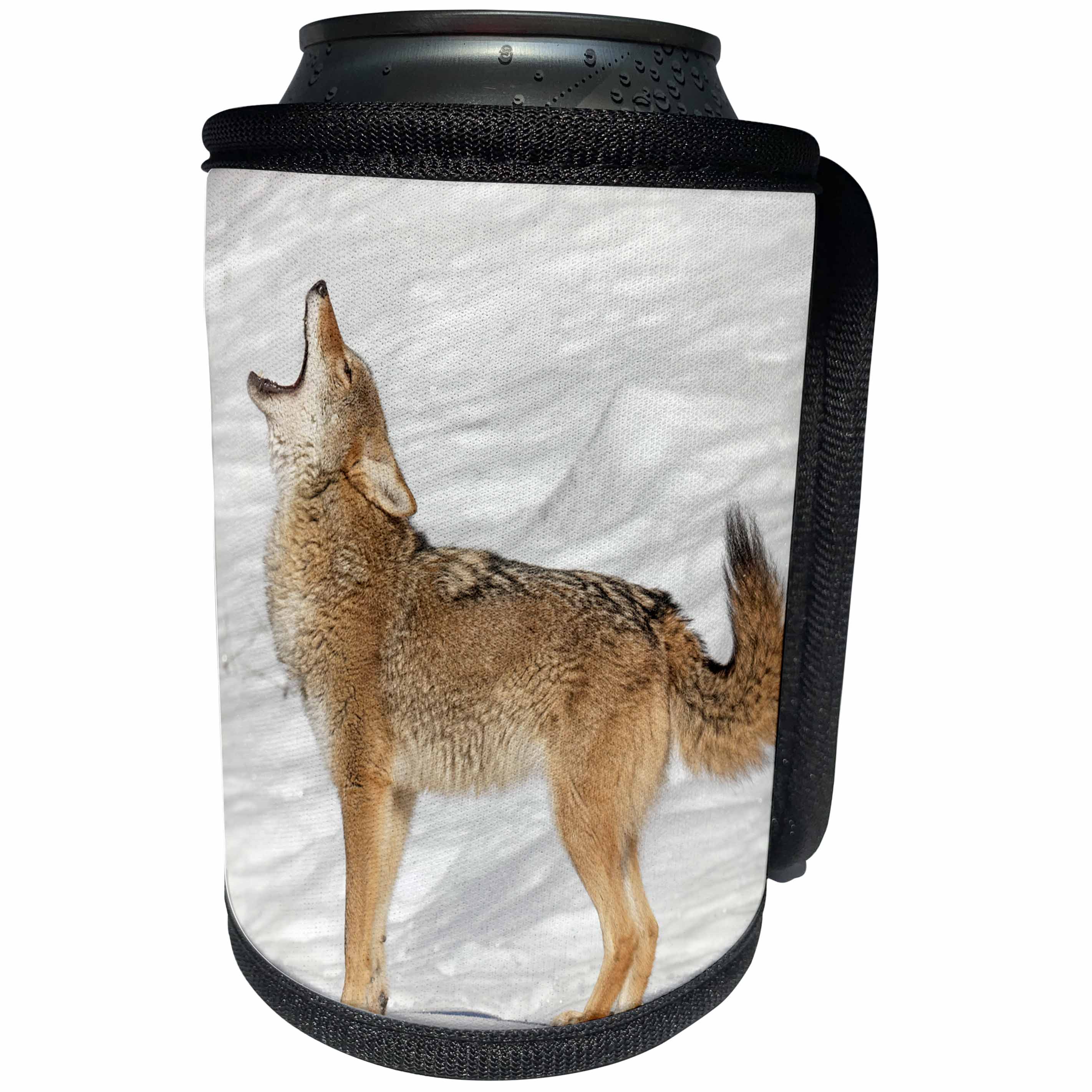 3dRose Danita Delimont - Coyotes - Coyote howling in winter, Montana - Can Cooler Bottle Wrap (cc_279162)