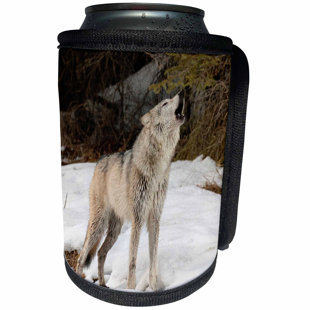 3dRose Danita Delimont - Wolves - Gray Wolf howling in winter, canis lupus, Montana - Can Cooler Bottle Wrap (cc_279164)