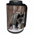 3dRose Danita Delimont - Foxes - Silver Fox a melanistic form of the red fox, Montana - Can Cooler Bottle Wrap (cc_279177)