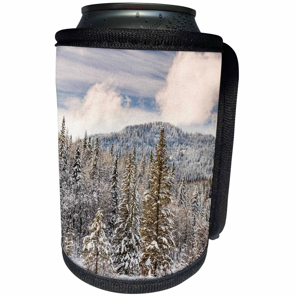 3dRose Danita Delimont - Forests - Winter mountain scene, Montana - Can Cooler Bottle Wrap (cc_279179)