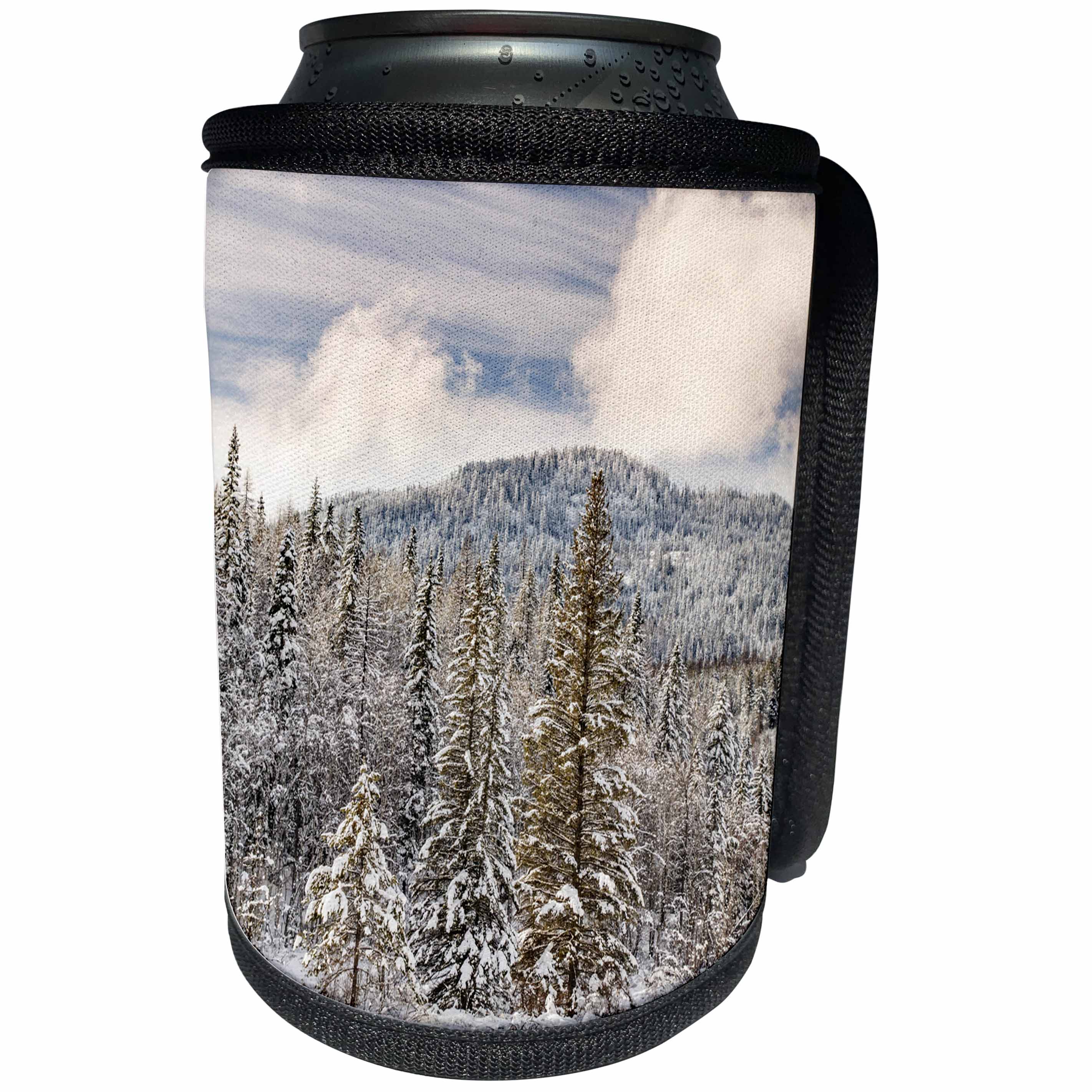 3dRose Danita Delimont - Forests - Winter mountain scene, Montana - Can Cooler Bottle Wrap (cc_279179)