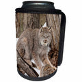 3dRose Danita Delimont - Big Cats - Canada Lynx in winter, Montana. - Can Cooler Bottle Wrap (cc_279181)